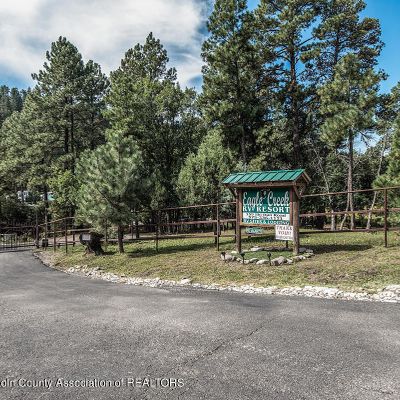 159 Ski Run Rd, Alto, NM 88312