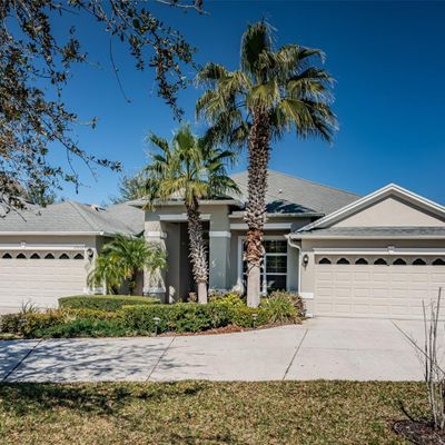 20837 Amanda Oak Court, Land O Lakes, FL 34638