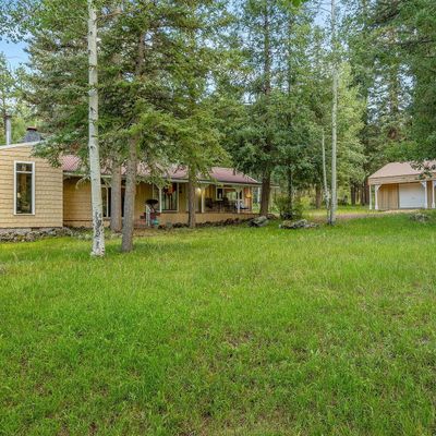 21 County Road 2043, Alpine, AZ 85920