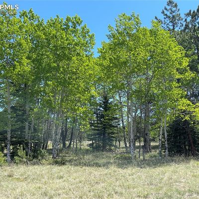 2756 County Rd 421, Florissant, CO 80816