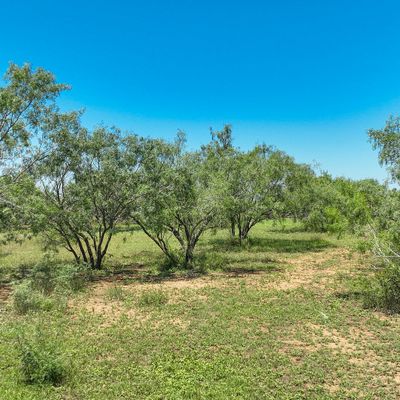 3968 Bluntzer Rd, Jourdanton, TX 78026