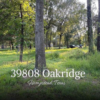 39808 Oakridge Road, Hempstead, TX 77445