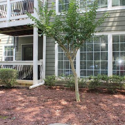 513 Berkeley Woods Drive, Duluth, GA 30643