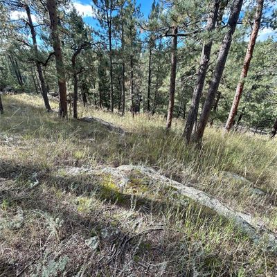 5233 S Road A, Evergreen, CO 80439