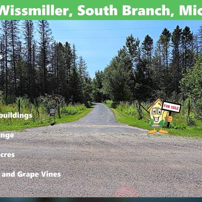 8331 Wissmiller Rd, South Branch, MI 48761