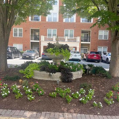 9405 Blackwell Rd #310, Rockville, MD 20850