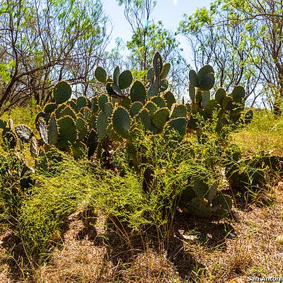 County Road 661, Devine, TX 78016