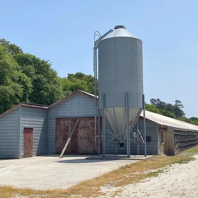 Wilson Hill Rd Farm, Georgetown, DE 19947