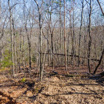 Lantern Ridge, Lot 110, Chickamauga, GA 30707