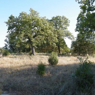 Lot 6 Rocky Hollow Road, Burnet, TX 78611