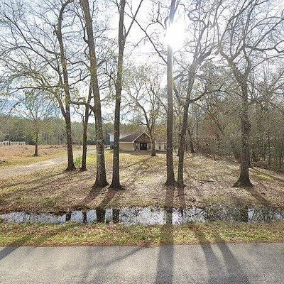 1215 E Pineshadows Dr, Sour Lake, TX 77659