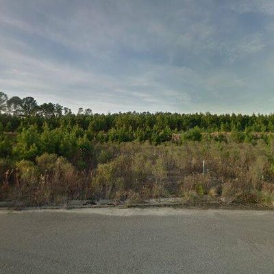 161 Spotted Owl Way Ne Lot 347 Bolivia, Bolivia, NC 28422