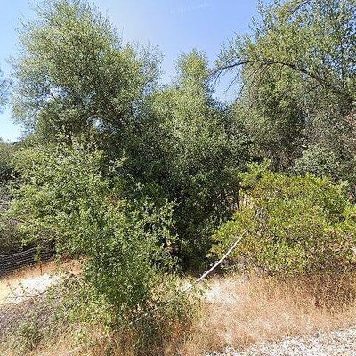 43348 Bucklyn Rd, Ahwahnee, CA 93601