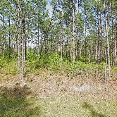 57220 D C Harville Rd, Perdido, AL 36562