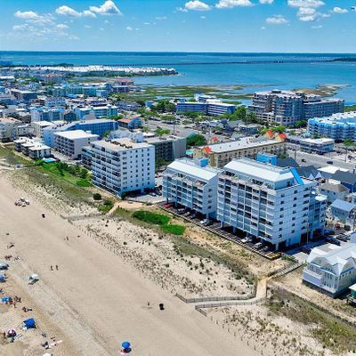 8203 Atlantic Ave #207, Ocean City, MD 21842