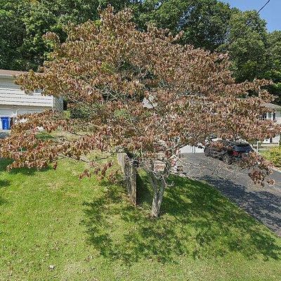 100 Ten Coat Ln #4 A, Shelton, CT 06484