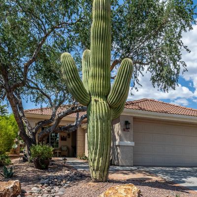 13649 N Gold Cholla Pl, Marana, AZ 85658