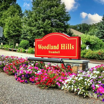 1104 Woodland Hills Drive #1104, Trumbull, CT 06611