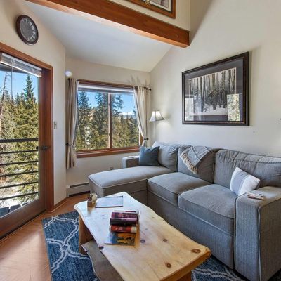 10000 Ryan Gulch Road #G 209, Silverthorne, CO 80498