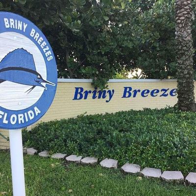 23 Hibiscus Drive, Briny Breezes, FL 33435