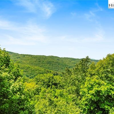 319 N Pinnacle Ridge Rd, Beech Mountain, NC 28604