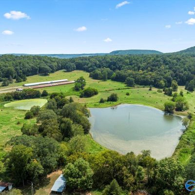 447 Forman Bottoms Rd, Somerville, AL 35670