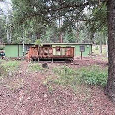 6 County Road 1006, Greer, AZ 85927