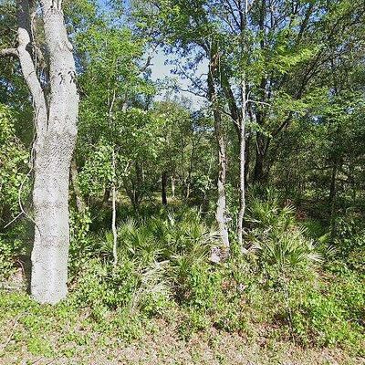 10870 Se 141 St Avenue Rd, Ocklawaha, FL 32179