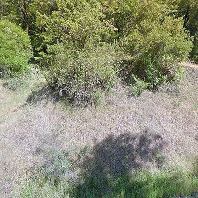 2270 Spyrock Rd, Leggett, CA 95585