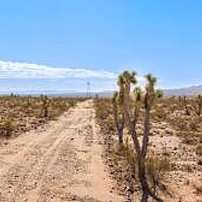 19169 N Cowboy Road 59, Dolan Springs, AZ 86441