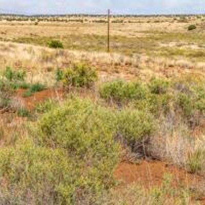 35 Ranch (5126) Road 59, Concho, AZ 85924