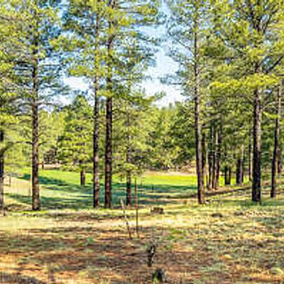 3631 S Woodland Hills    368, Flagstaff, AZ 86005