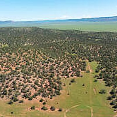 39.93 Acre W Titan Ranch Road 318, Seligman, AZ 86337