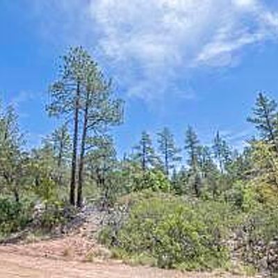 4521 N Pine Hollow Trail B, Pine, AZ 85544