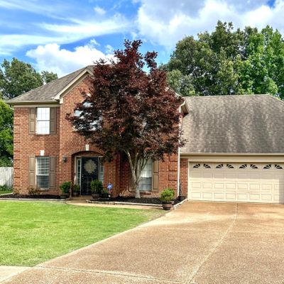 6056 S Shadow Oaks Cove, Olive Branch, MS 38654