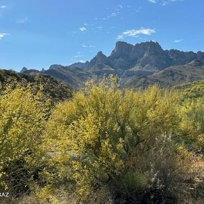 Address Withheld, Oro Valley, AZ 85737