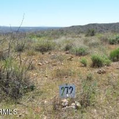 Lot 272 End Of The Trail Road 272, Willcox, AZ 85643