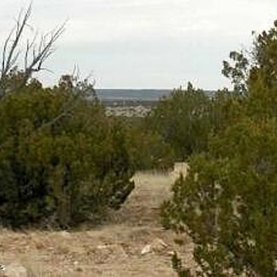 Lot 302 Chevelon Canyon Ranch    302, Heber, AZ 85928