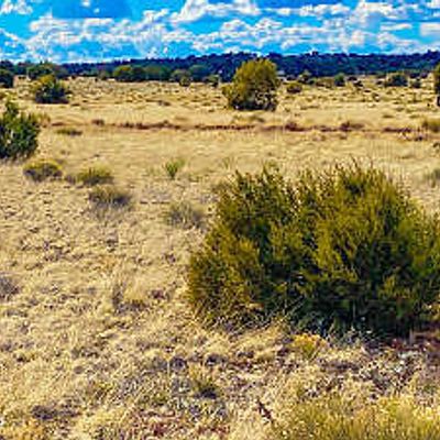 Tbd Hyde Park Rd. 9.92 Acres    158, Seligman, AZ 86337