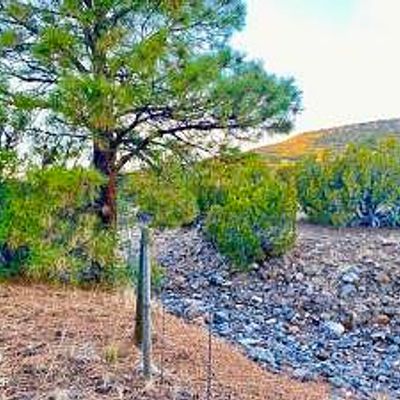 Tbd N3215 3 Acres, Vernon, AZ 85940