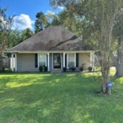 13536 S Trace Dr, Walker, LA 70785