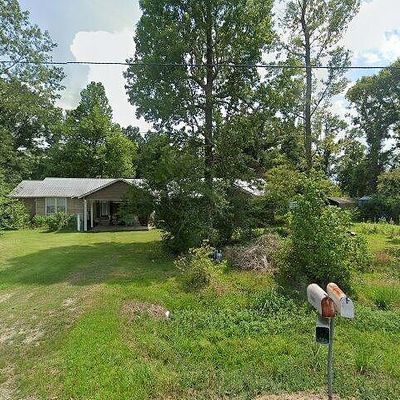 14165 Bear Island Rd, Maurepas, LA 70449