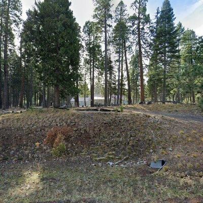 33675 State Highway 44, Shingletown, CA 96088