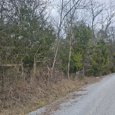 1 Love Branch Rd Tract 1, Hampshire, TN 38461