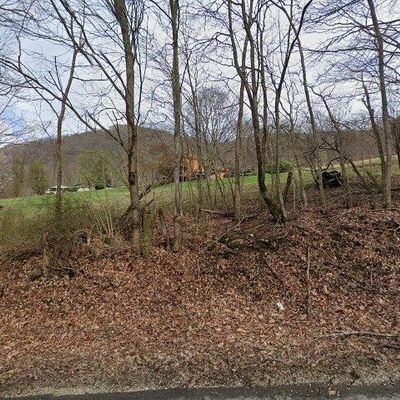 451 Burbank Rd, Roan Mountain, TN 37687