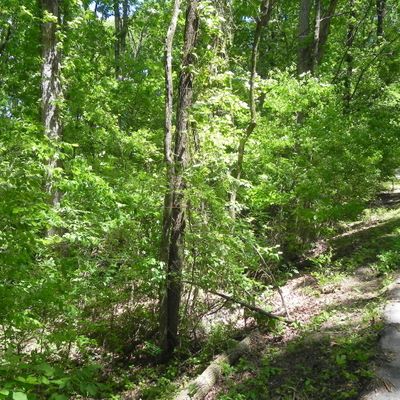 Hamill Rd, Hixson, TN 37343