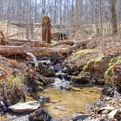 Lot 279 Roaring Creek Rd, Dunlap, TN 37327