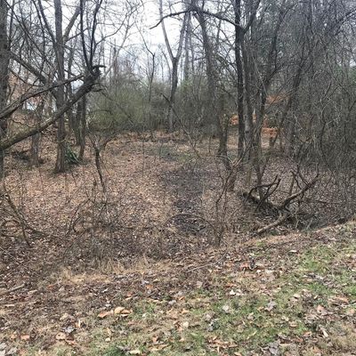 Lot 50 Cheokee Circle, Ten Mile, TN 37880