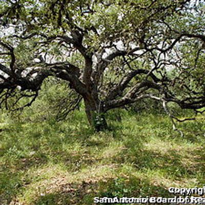 0000 Guillotine, Von Ormy, TX 78073