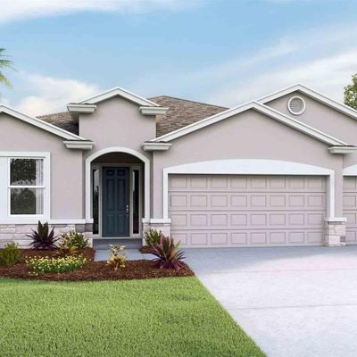 19843 Magnolia Springs Way, Land O Lakes, FL 34638